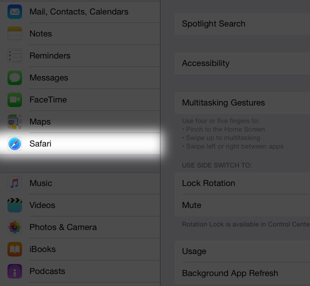 iPad Safari Selection
